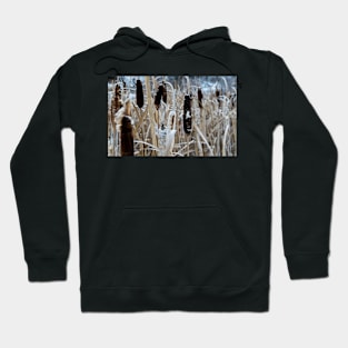 Bull Rush in the Winter. Hoodie